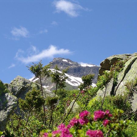 Hotel-Pension Faneskla Silbertal Kültér fotó